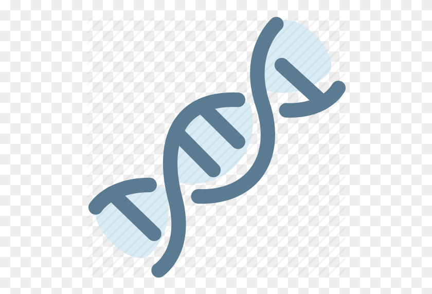 512x512 Биология, Днк, Двойная Спираль, Генетика, Медицина, Значок Науки - Двойная Спираль Png