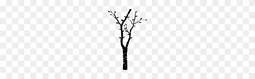 200x200 Birch Tree Icons Noun Project - Birch Tree PNG