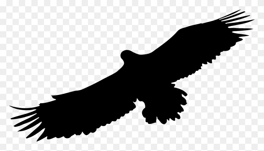 1382x750 Pájaro Águila Calva Silueta De Águila Dorada - Gratis Águila De Imágenes Prediseñadas