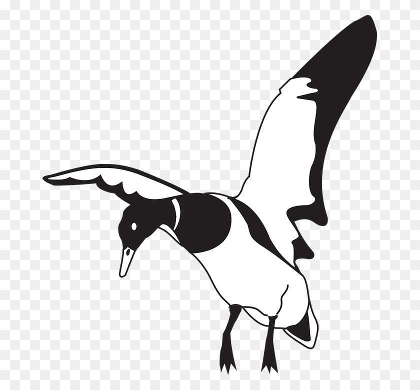 669x720 Птичий Клюв Картинки Черный Белый Бесплатно Клипарты - Тукан Клипарт Черный И Белый