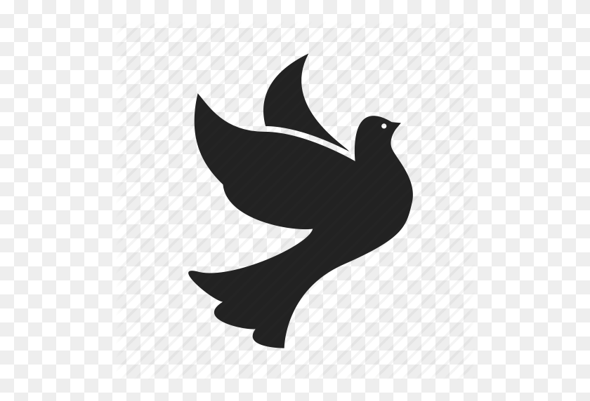 512x512 Bird, Birds, Dove, Doves, Flight, Fly, Flying, Peace Icon - White Dove PNG