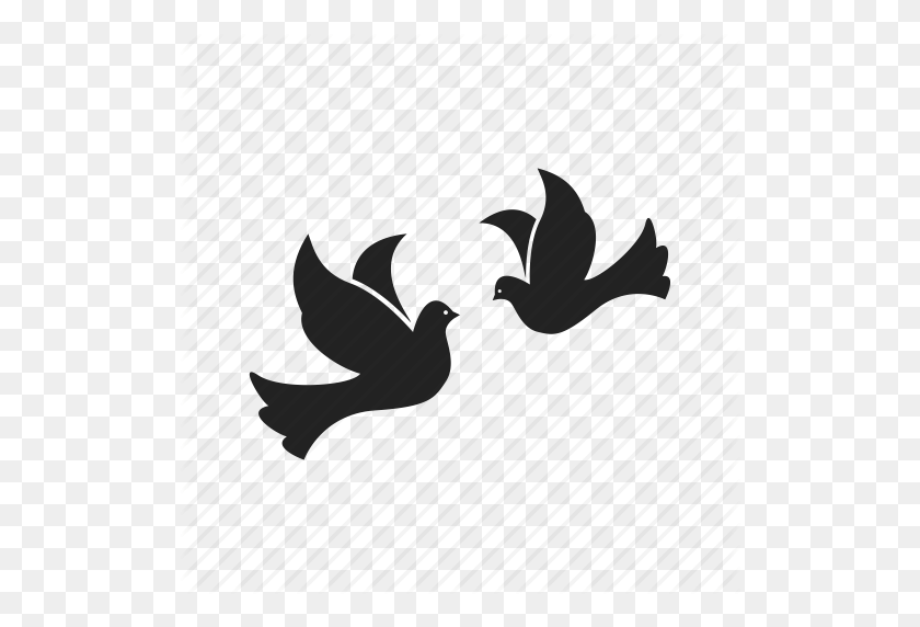 512x512 Bird, Birds, Dove, Doves, Flight, Fly, Flying, Peace, Wing Icon - Doves Flying PNG