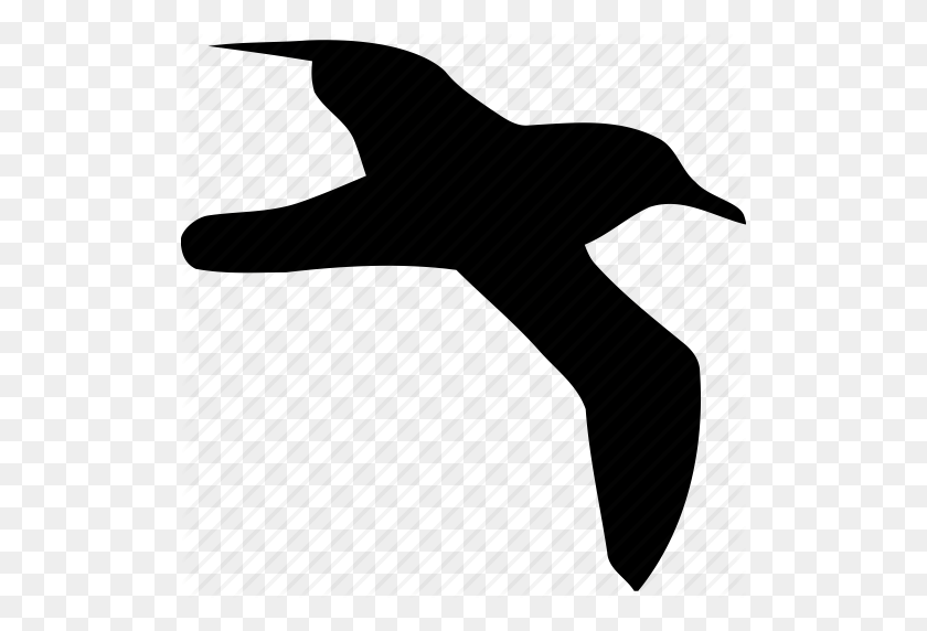512x512 Bird, Birds, Flight, Fly, Nature, Sea Gull, Seagull Icon - Seagull PNG