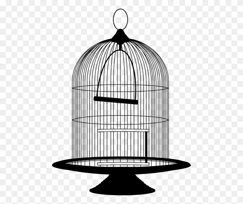 480x645 Bird Cage Png - Cage PNG