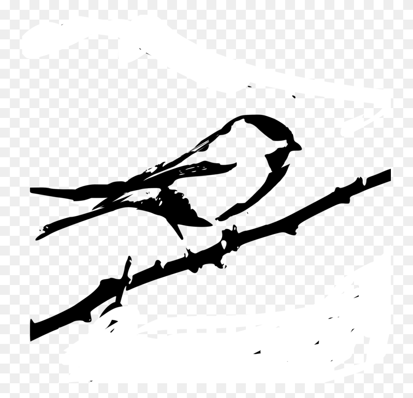 750x750 Pájaro Con Respaldo De Castaño Carbonero En Blanco Y Negro Con Tapa Negra - Wren Clipart