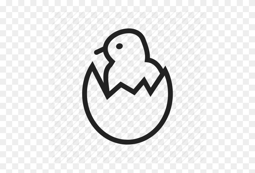 512x512 Pájaro, Pollo, Huevo, Huevos, Escotilla, Eclosión, Icono De Cáscara - Imágenes Prediseñadas De Huevo Para Incubar