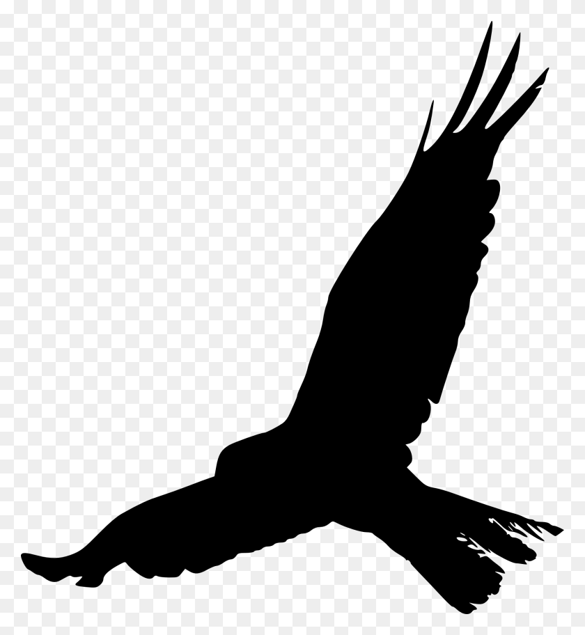 1830x2000 Bird Claw Png Transparent Bird Claw Images - Scratch Marks PNG