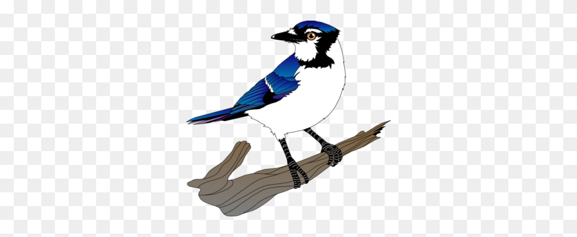 298x285 Bird Clip Art - Blue Jay Clipart