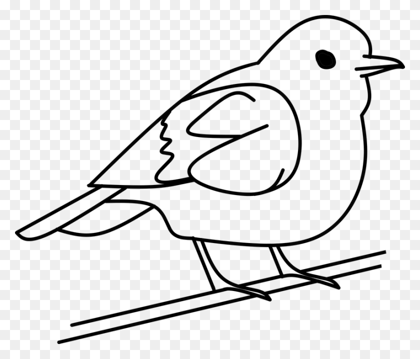 853x720 Bird Clip Black And White Coloring Huge Freebie Download - Bird Clipart Black And White
