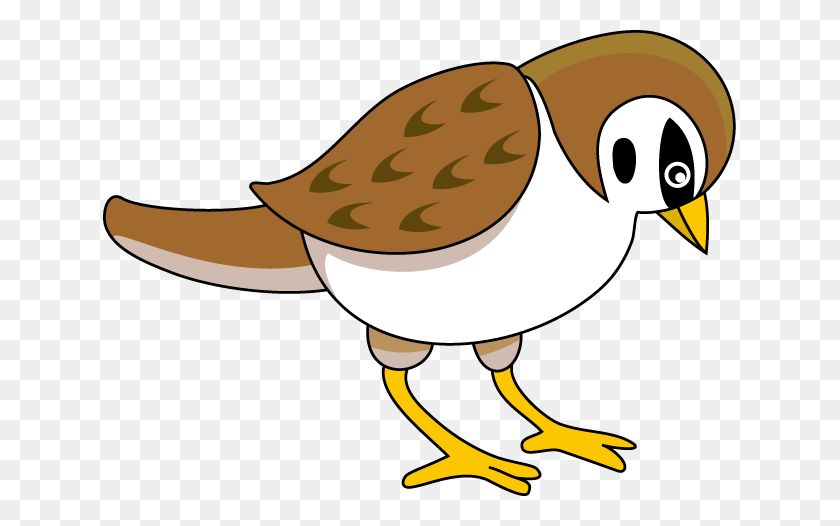 633x466 Bird Clipart Sparrow - Bird Clipart Transparent Background