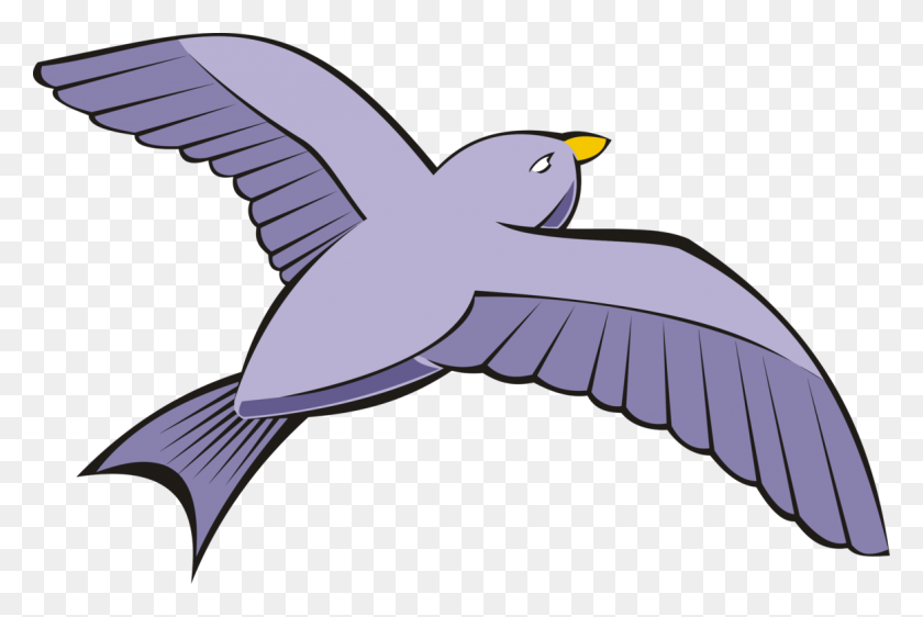 1164x750 Bird Columbidae Rock Dove Flight Beak - Rock Clipart