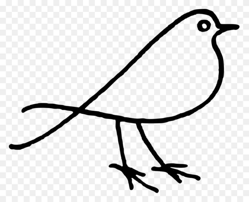943x750 Bird Doodle Parrot Drawing Download - Parrot Clipart