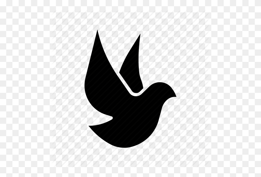 512x512 Bird, Dove, Freedom, Paloma, Peace, Pigeon, Pombo Icon - Paloma PNG