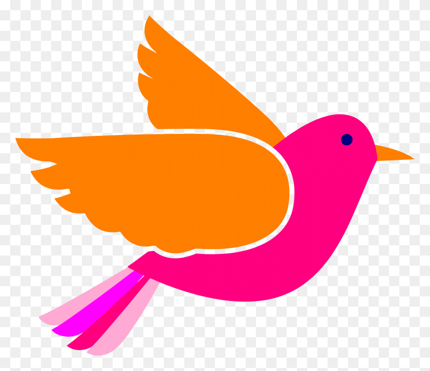 2467x2109 Bird Face Clip Art Pink Birds Png - Pink Bird Clipart