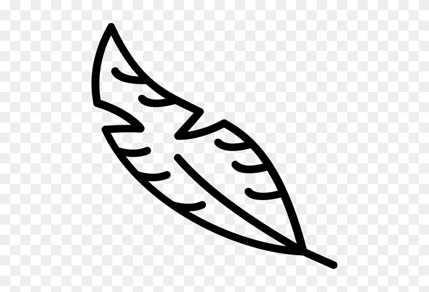 512x512 Bird Feather, Feather, Feather Pen, Quill, Wing Icon - Feather Clip Art Black And White