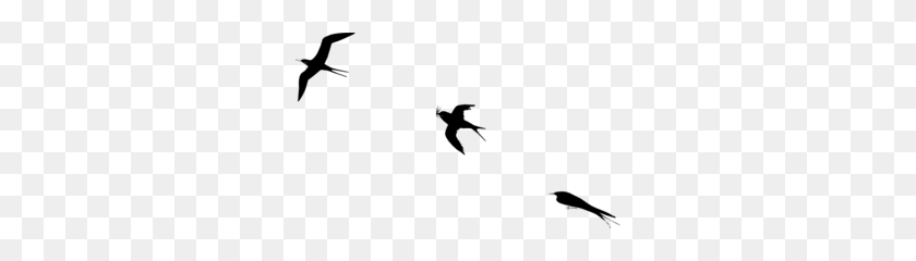 298x180 Птицы Полет Клипарт - Летящие Птицы Png