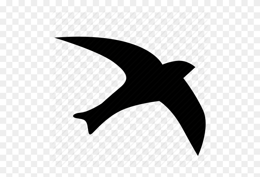 512x512 Bird, Fly, Seagull, Sky Icon - Flying Seagull Clipart
