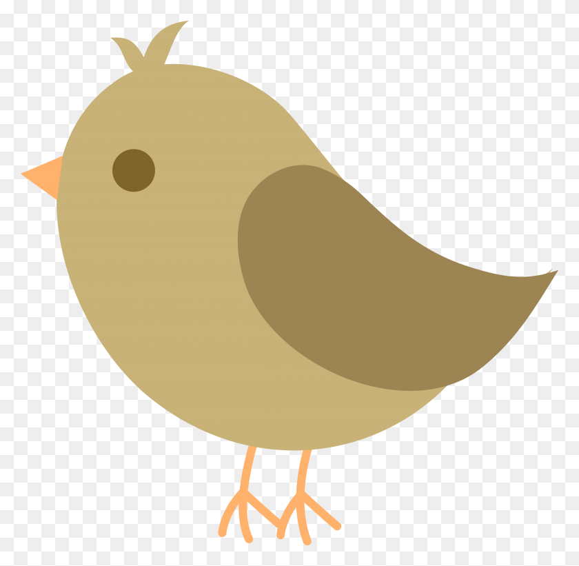4621x4511 Fondos De Escritorio Gráficos De Aves - Phoenix Bird Clipart