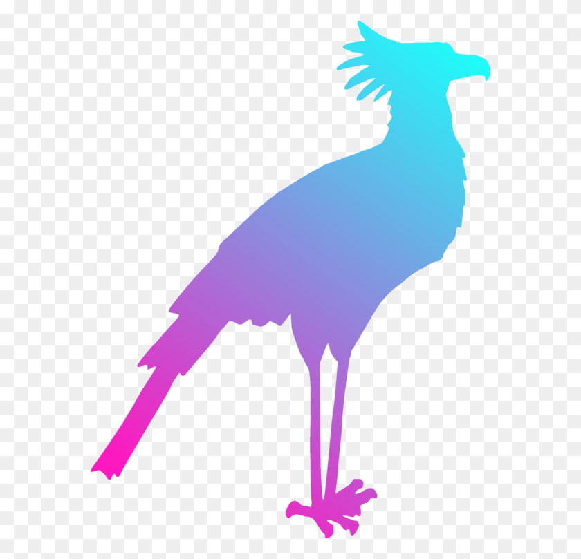 578x749 Bird Gulls Silhouette Drawing Art - Secretary Clipart