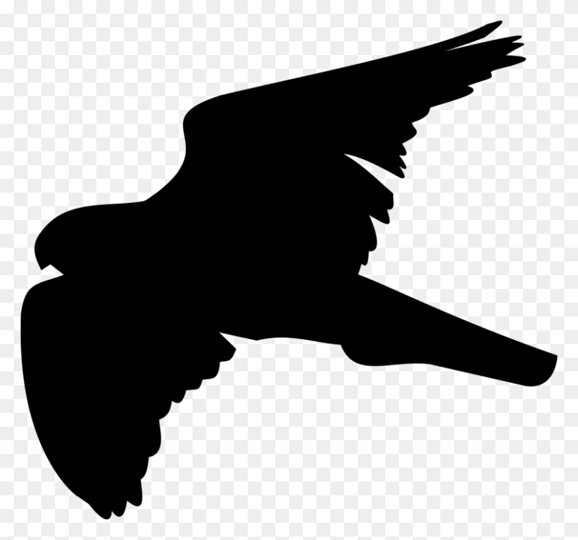 806x750 Bird Hawk Shadow Silhouette Computer Icons - Red Tailed Hawk Clipart