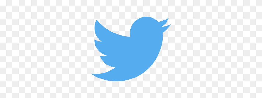 256x256 Bird Icon Myiconfinder - Twitter Icon PNG