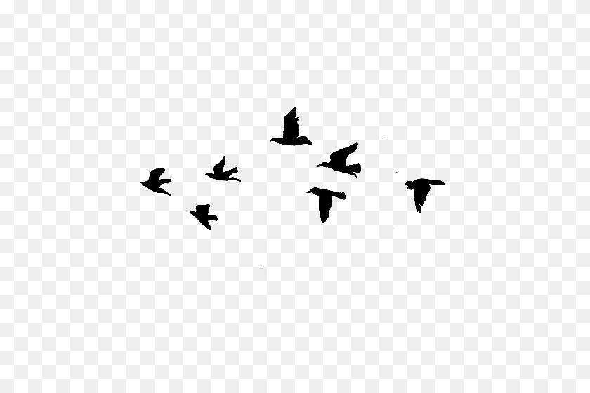 500x500 Птица В Полете Png Hd Прозрачная Птица В Полете Hd Изображения - Летящие Птицы Png