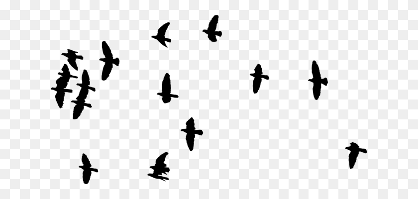 635x340 Bird Migration Crane Flock Animal Migration - Bird In Flight Clipart
