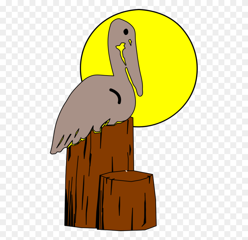 501x750 Птичье Гнездо Коричневый Пеликан Рисунок Животного - Гнездо Клипарт