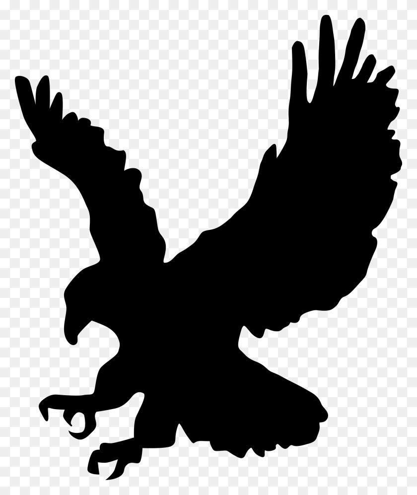 2000x2404 Bird Of Prey Clipart - Vulture Clipart Black And White