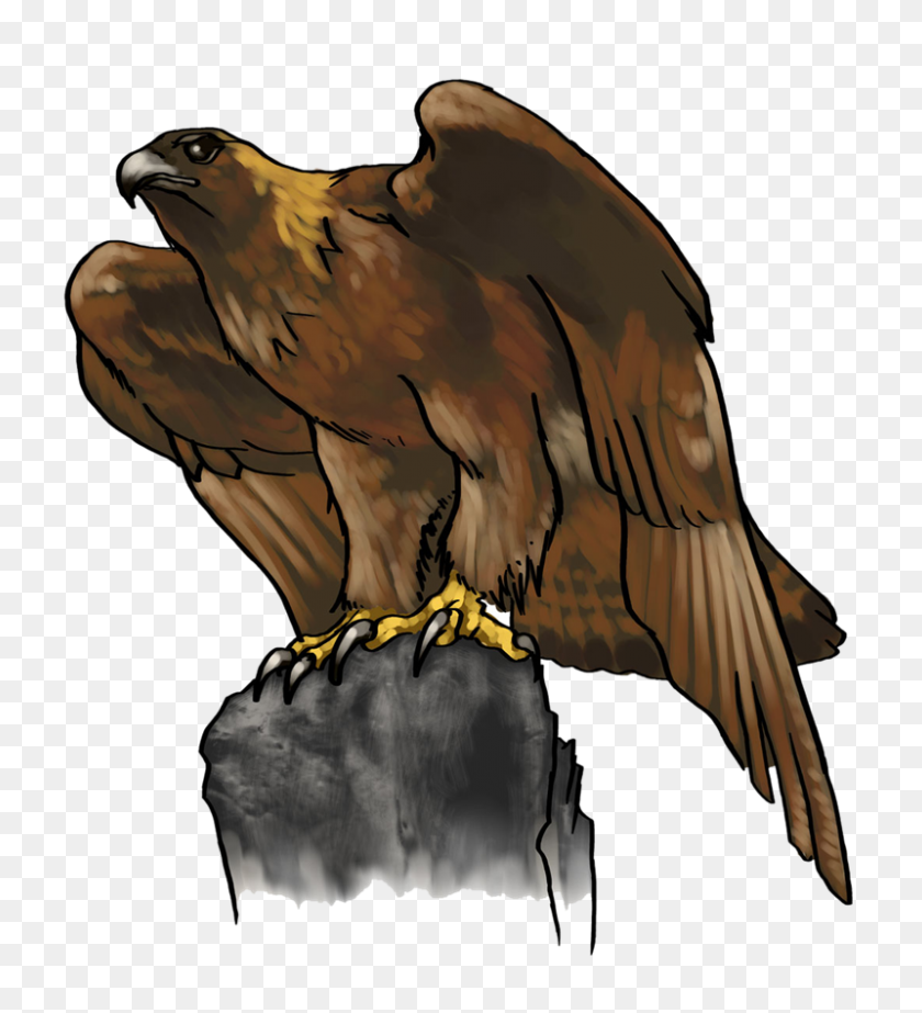 800x886 Bird Of Prey Clipart Golden Eagle - American Eagle Clipart