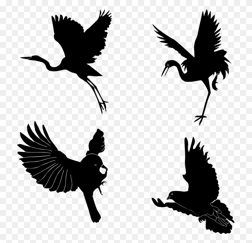 725x750 Bird Of Prey Silhouette Beak Feather - Prey Clipart