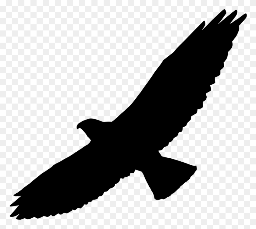 845x750 Bird Of Prey Swainson's Hawk Silhouette - Raptor Clipart