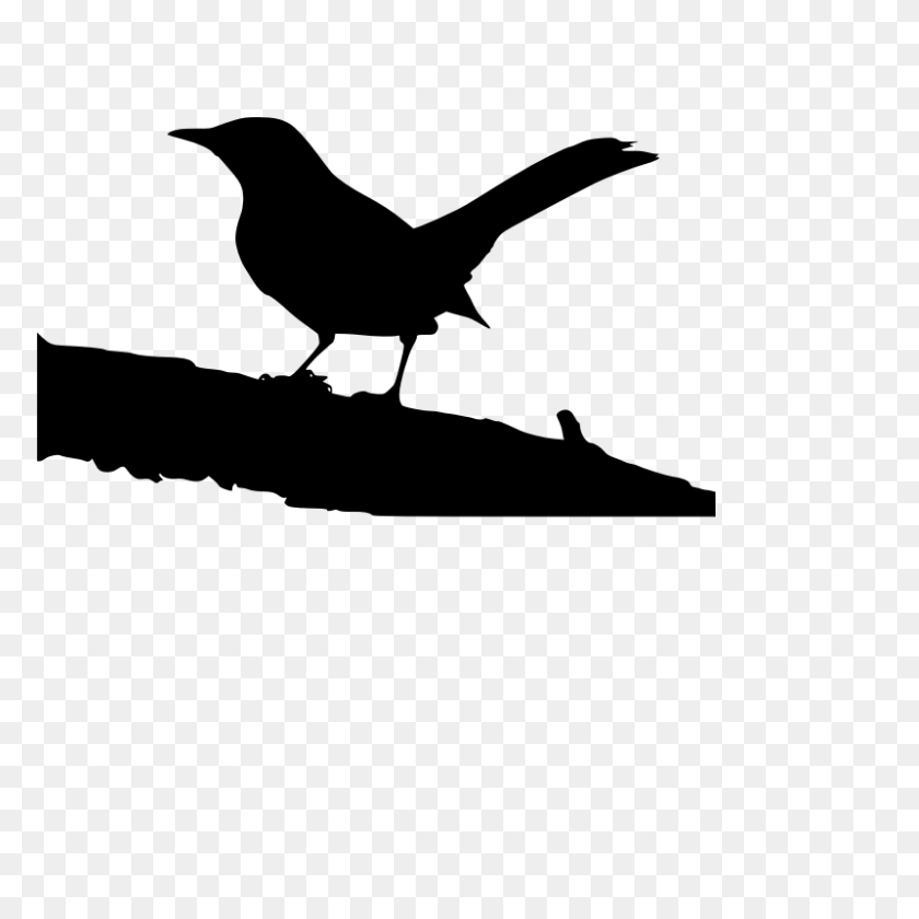 800x800 Bird On Branch Clip Art - Chickadee Clipart