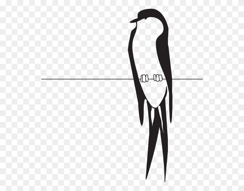 558x598 Bird On Wire Clip Art - Birds On A Wire Clipart