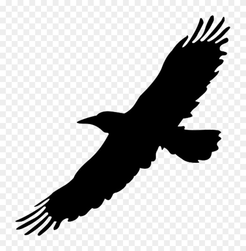 1019x1042 Bird Outline Png Hd Transparent Bird Outline Hd Images - Eagle Silhouette PNG