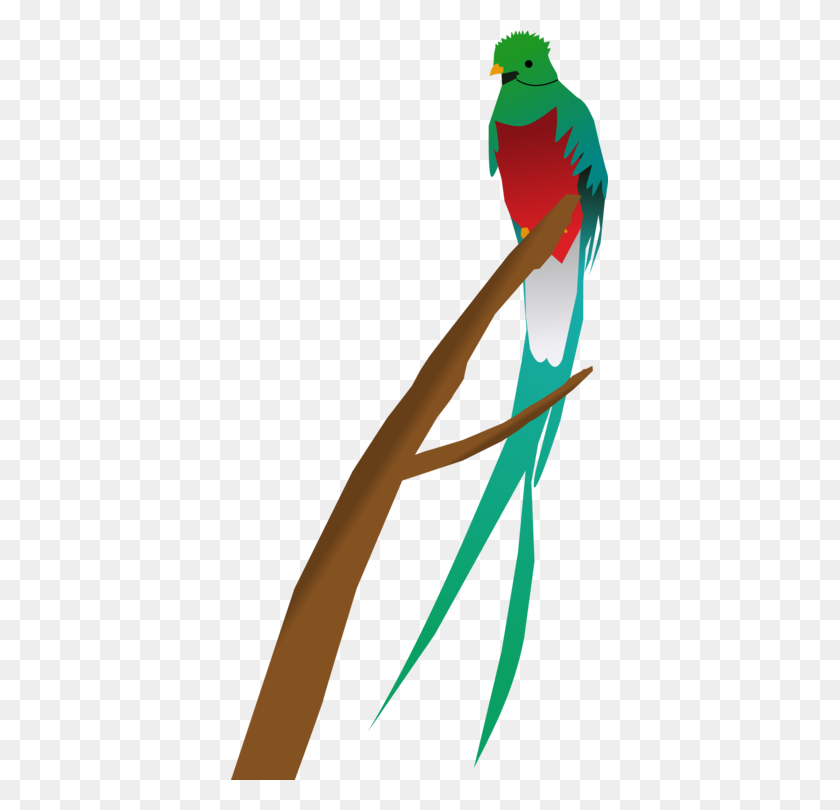 377x750 Bird Resplendent Quetzal Computer Icons Parrot - Guatemala Clipart