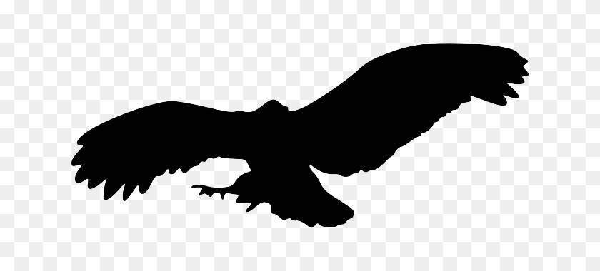 640x320 Bird Silhouette Eagle Transparent Png - Birds Silhouette PNG