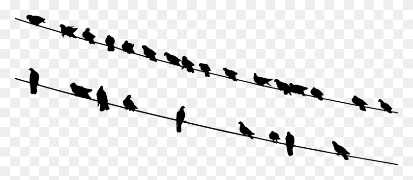 1898x750 Bird Silhouette Flock Wire Black And White - Sky Clipart Black And White