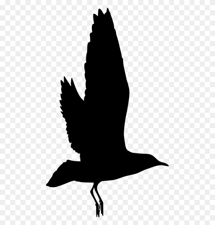 480x818 Bird Silhouette Png - Feather Silhouette PNG