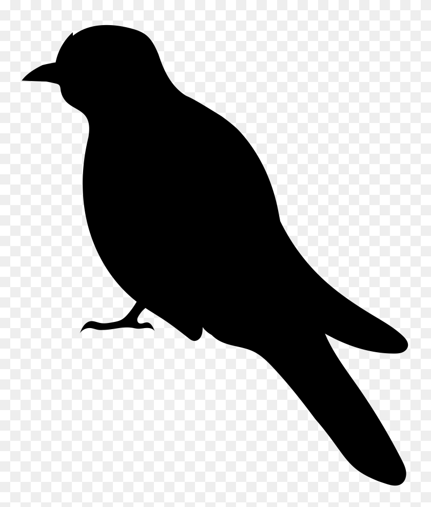 6716x8000 Silueta De Aves Png Clipart - Cuervo Negro Clipart
