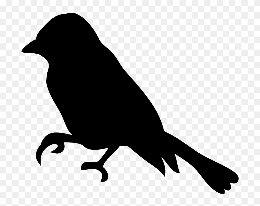 709x605 Bird Silhouettes - Raven Clipart Black And White