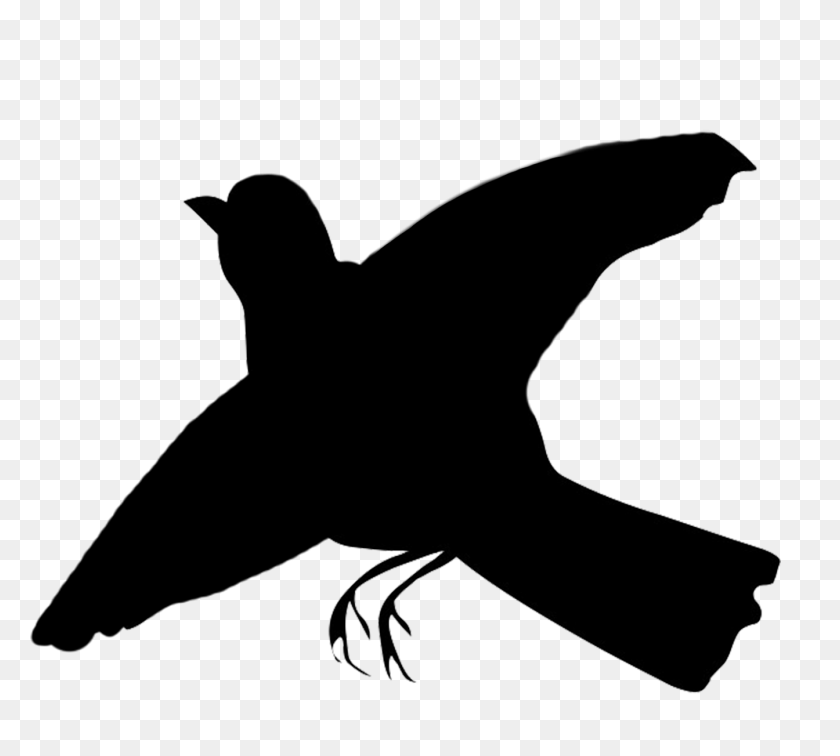 1344x1200 Bird Silhouettes - Bird Silhouette PNG