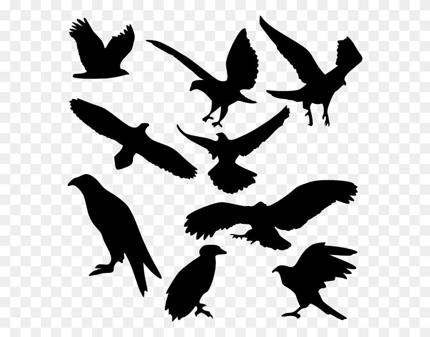576x598 Bird Silhouettes Clip Arts Download - Bird Silhouette PNG