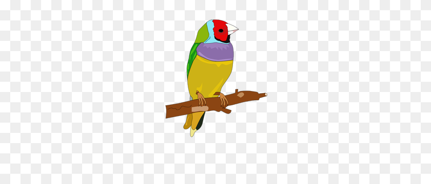 211x300 Bird Singing Clipart - Dodo Bird Clipart