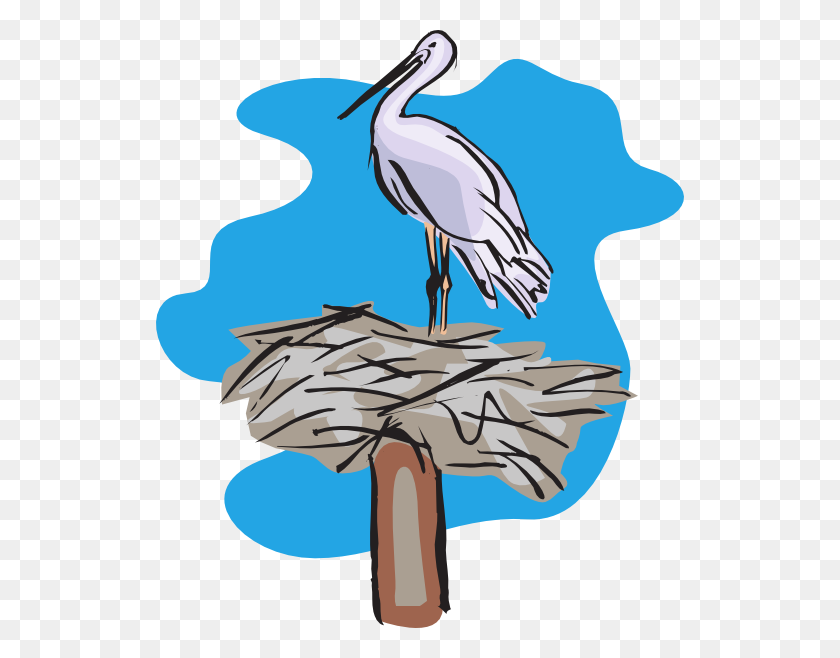 528x598 Bird Standing On Nest Png, Clip Art For Web - Pelican Clip Art