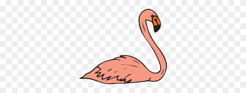 300x258 Bird Swimming Cliparts - Baby Flamingo Clipart