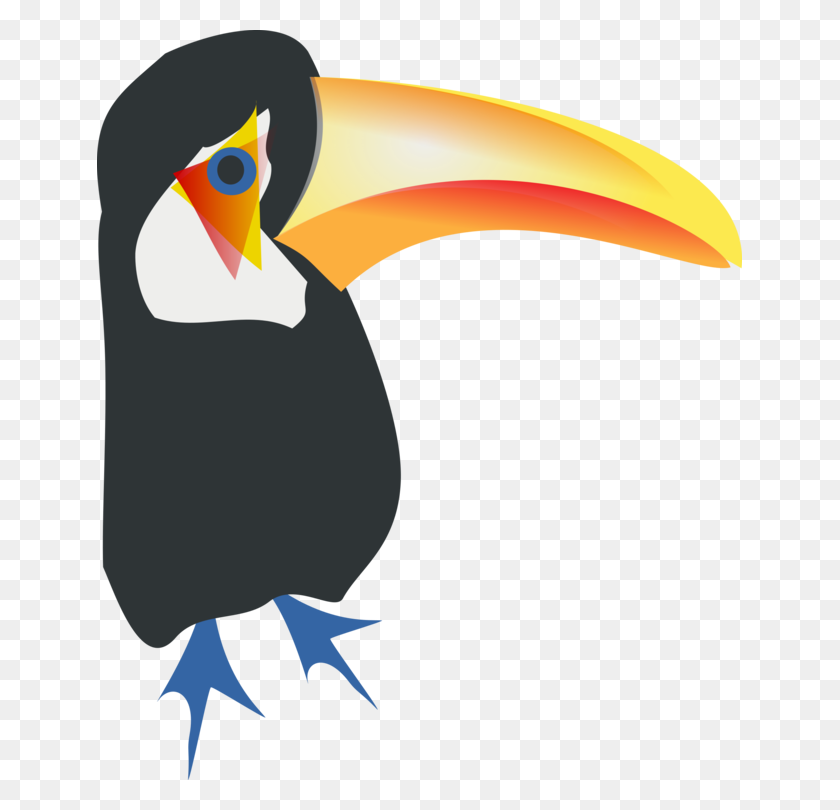 645x750 Bird Toco Toucan Parrot Piciformes - Tucan PNG