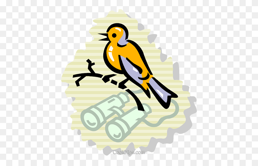 442x480 Наблюдение За Птицами Роялти Бесплатно Векторные Иллюстрации - Наблюдение За Птицами Клипарт