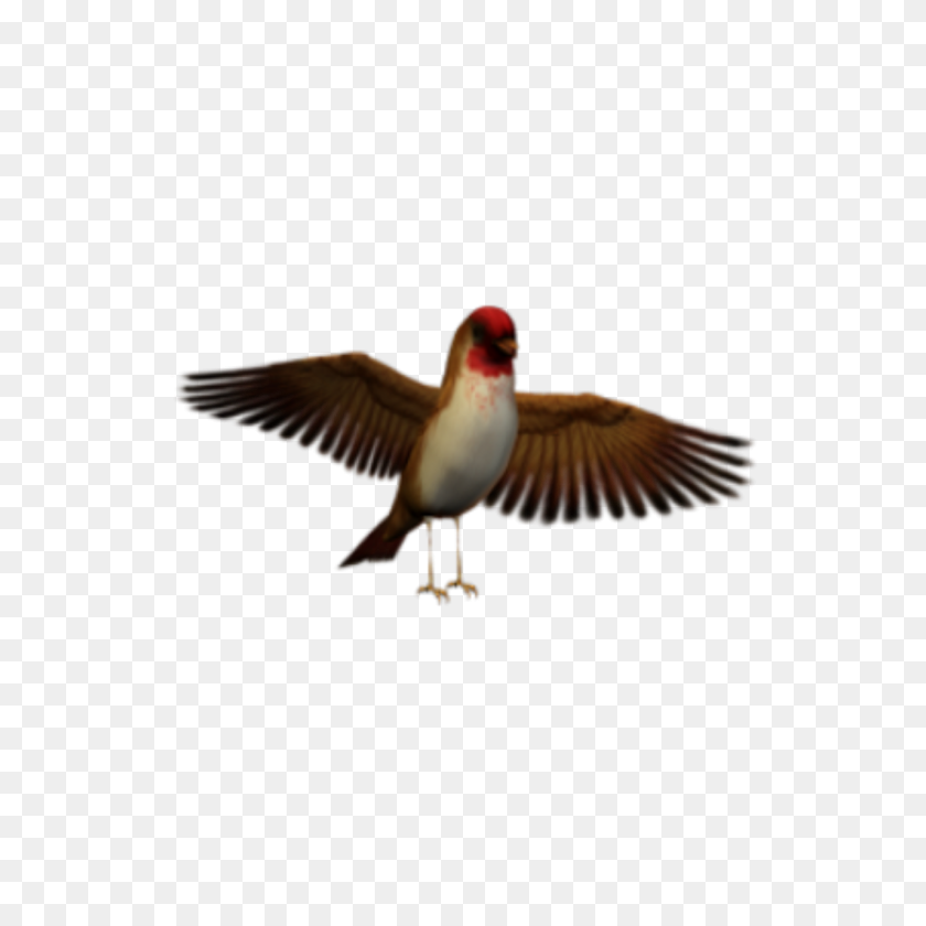 1280x1280 Alas De Pájaro Oscuro Surrealista Freetoedit - Alas De Pájaro Png