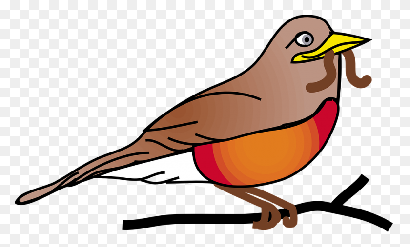 960x551 Bird With Worm Png Transparent Bird With Worm Images - Worm PNG